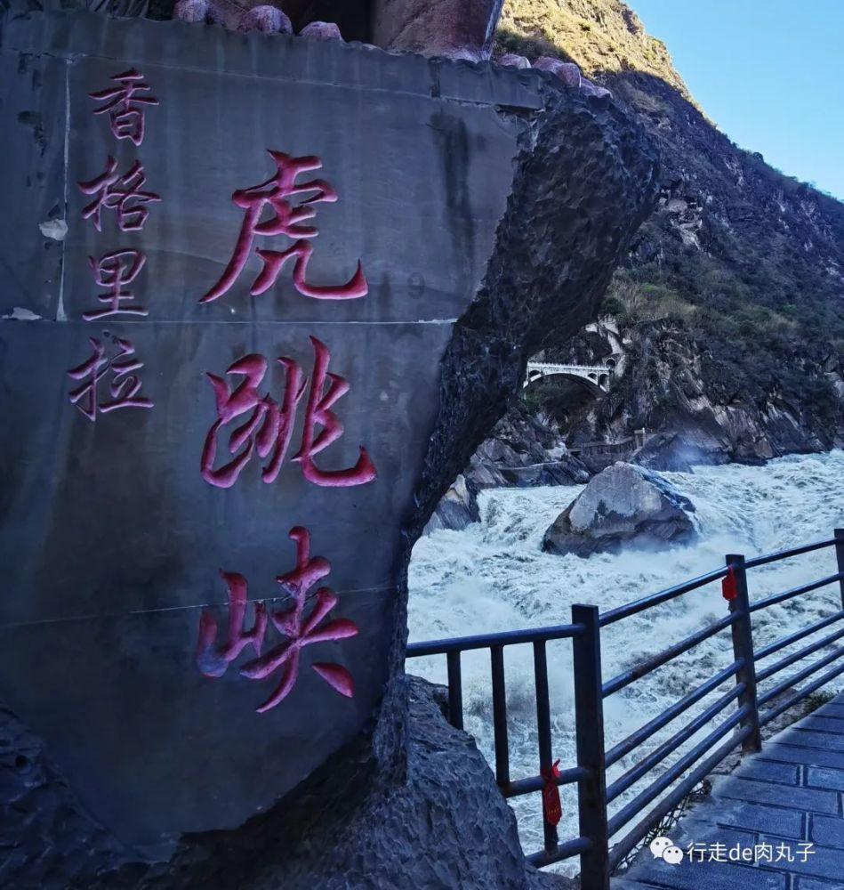 【本周菜单】本周菜单及外卖
