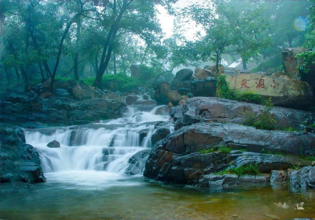虫虫助手下载