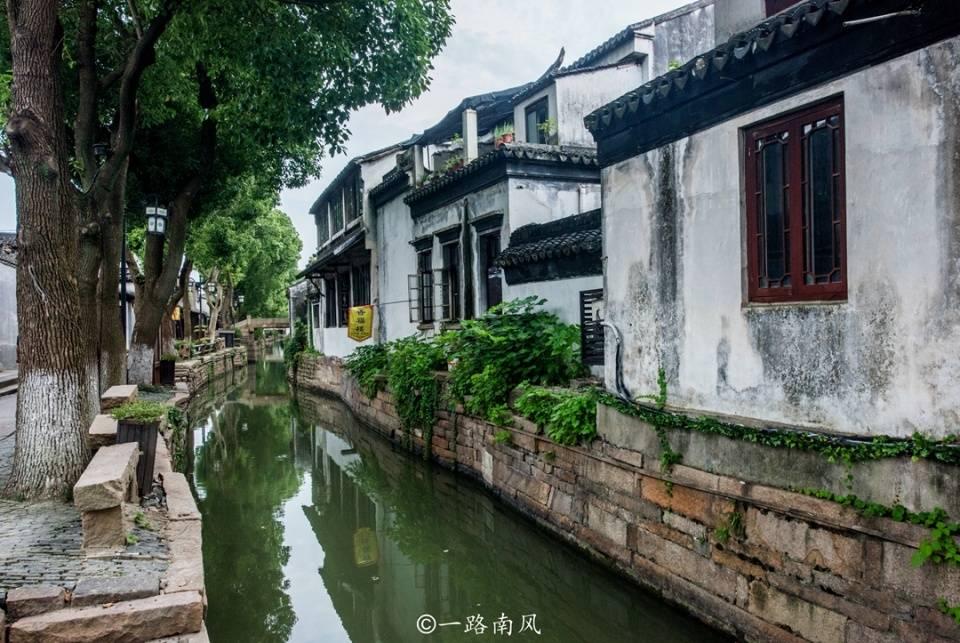 口袋森林世界杯传球大赛