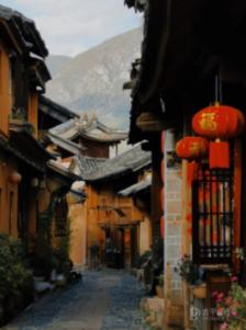 洛阳:70万盆催花牡丹春节前上市 线上线下销售火爆